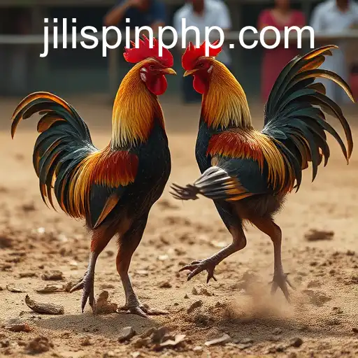 Gaming Experience JiliSpin.com - 800+ Premium and Exclusive Games