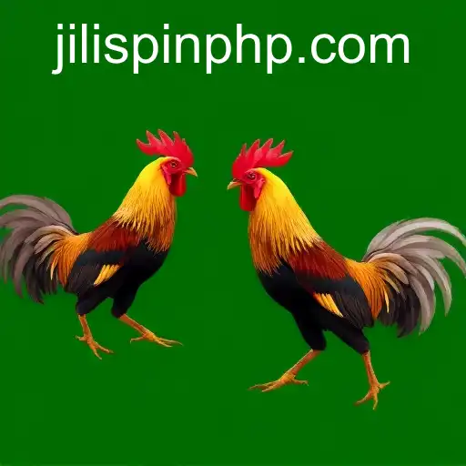 Gaming Experience JiliSpin.com - 800+ Premium and Exclusive Games